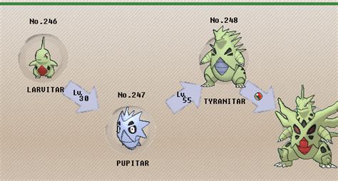 tyranitar serebii|what level does tyranitar evolve.